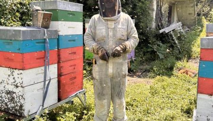 Visite guidée : A la rencontre d'une apicultrice dans sa miellerie_Hauteluce