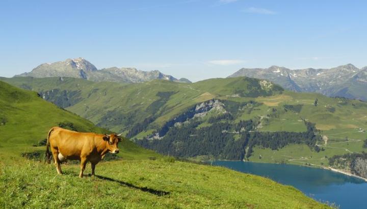Barrage de Roselend_Arêches-Beaufort - Barrage et alpage de Roselend