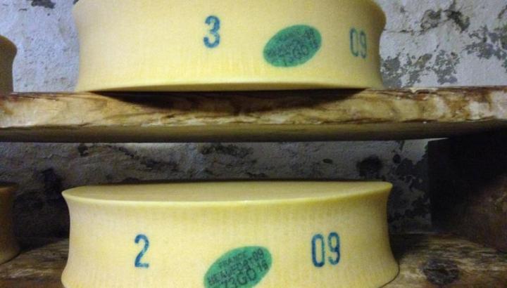 Films d'en Haut - Terres du ciel, Cueilleurs d'alpages et Raclette kirghize_Champagny-en-Vanoise - Beaufort d'alpage, prince des gruyères