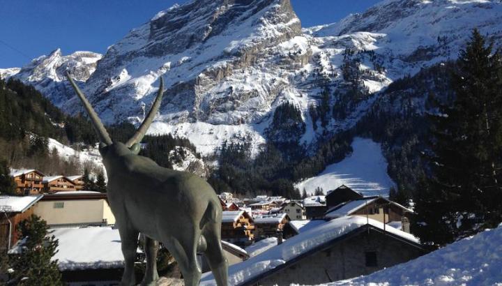 Visite guidée : balade gourmande de  Pralo_Pralognan-la-Vanoise - Visite guidée : balade gourmande de Pralo