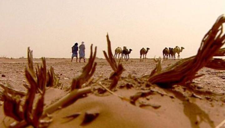 Projection : Raclette Kirghize et Sécheresse du coeur_Crest-Voland