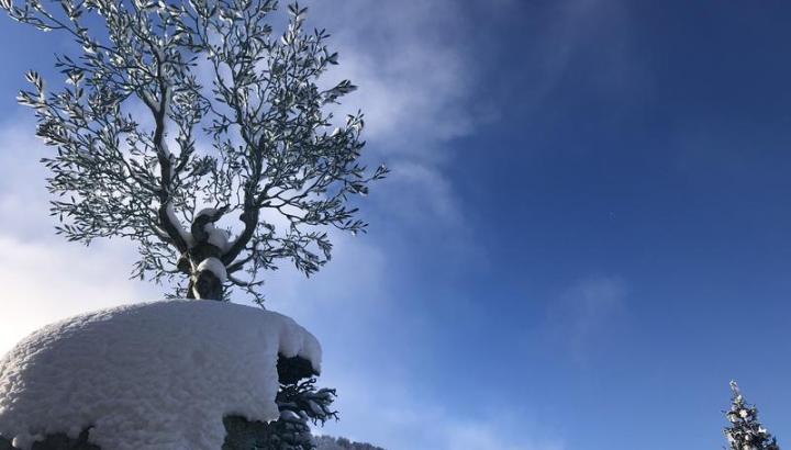 Visite guidée : l'art au sommet à Courchevel, exposition culturelle à ciel ouvert_Courchevel - Visite guidée : l'art au sommet à Courchevel, exposition culturelle à ciel ouvert