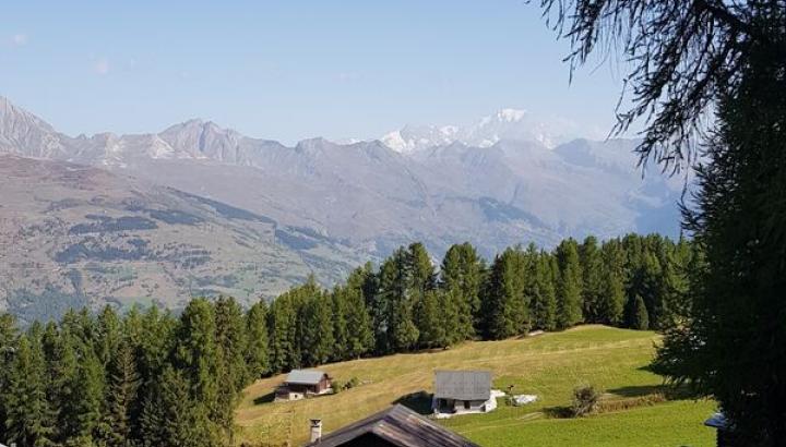 Plagne-Tarentaise (Montchavin-Les Coches ) - Plateau de Plan-Bois