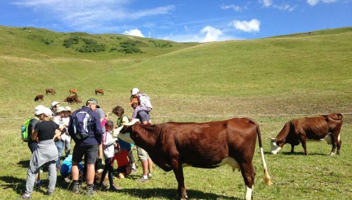 Visite guidée : A la rencontre d'un alpagiste sur les pentes de Bisanne_Villard-sur-Doron
