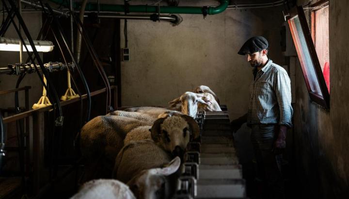 Mathieu Michaud-Ruaz - Mathieu Michaud-Ruaz