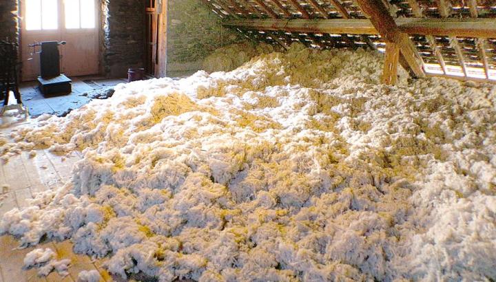 laine vierge - Filature Arpin laine vierge - Filature Arpin
