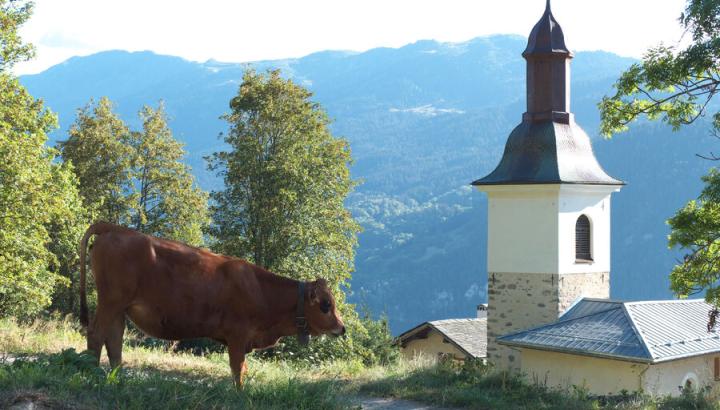 Eglise St Maurice à Feissons-sur-Salins - Eglise St Maurice à Feissons-sur-Salins