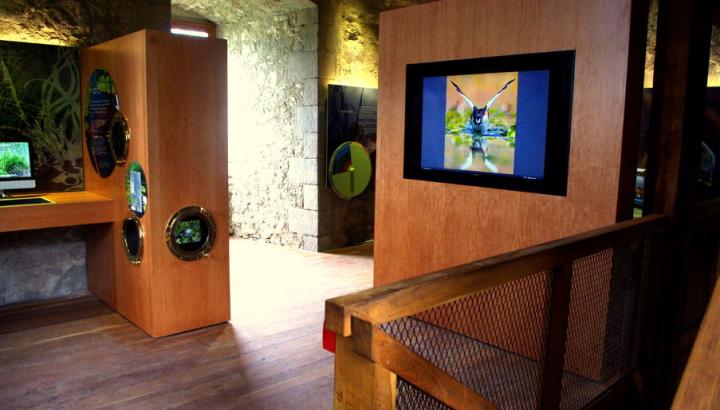 Espace muséographique - Espace muséographique