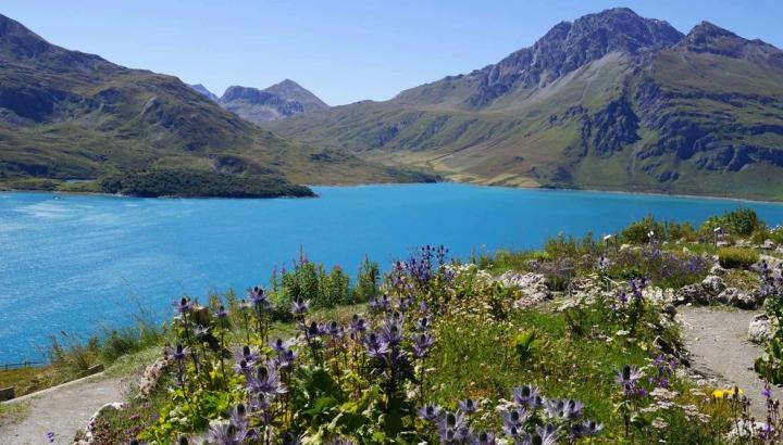 Lac et col du Mont-Cenis - Jardin Alpin du Mont-Cenis au Col du Mont-Cenis
