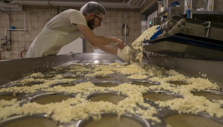 SICA Fruitière Coeur des Bauges - Fromagerie du Val d'Aillon_Aillon-le-Jeune - Fabrication de la Tome des Bauges