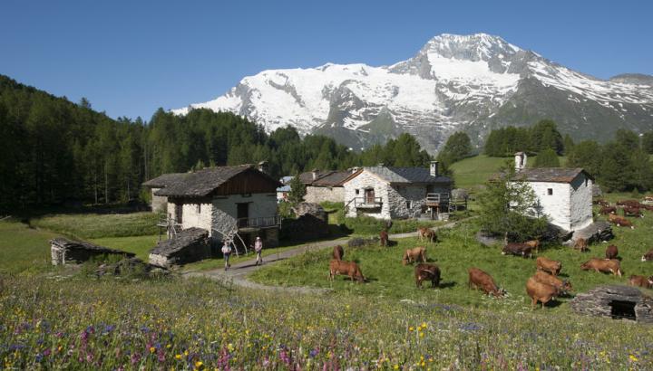 Village classé du Monal - Village classé du Monal