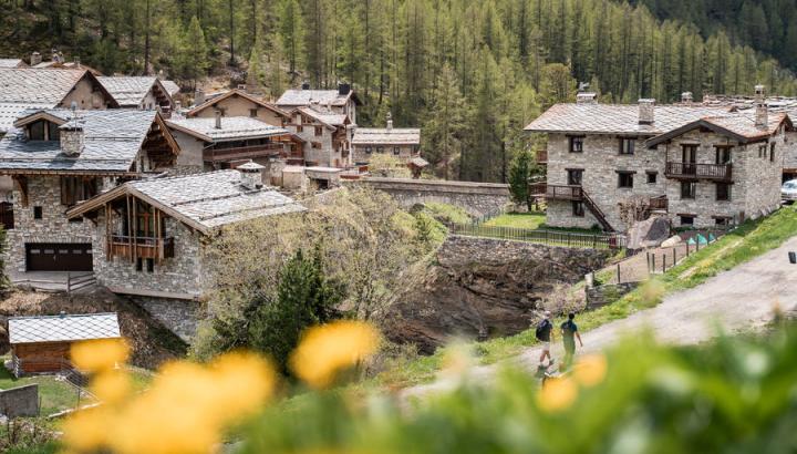 Le Fornet - Val d'Isère - Derrière les fleurs se dessine le charmant hameau du Fornet avec ses maisons en pierre typique.