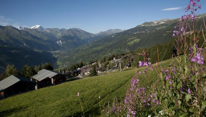 Vue sur le Mont Blanc - Une fenêtre sur le Mont Blanc !