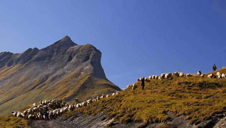 Cordon, Croise Baulet - Cordon, Croise Baulet 2236m