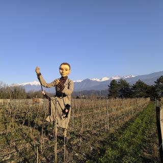 Un Géant dans le paysage