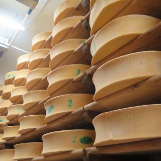 Fromage beaufort dans les caves de la coopérative de Beaufort
