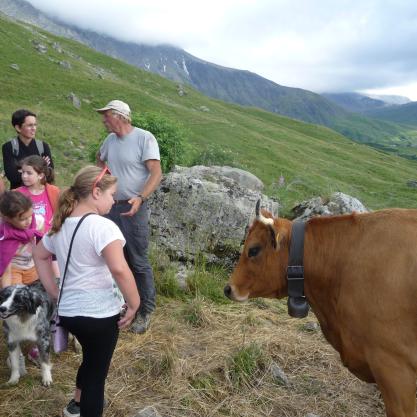 Rencontres avec les alpagistes