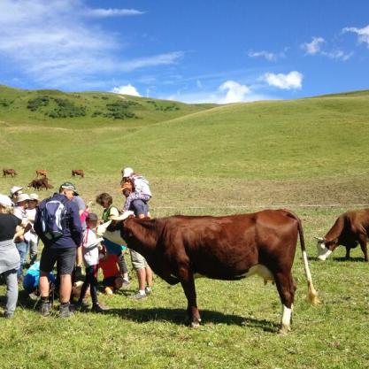 Visite d'alpage avec la Fondation Facim