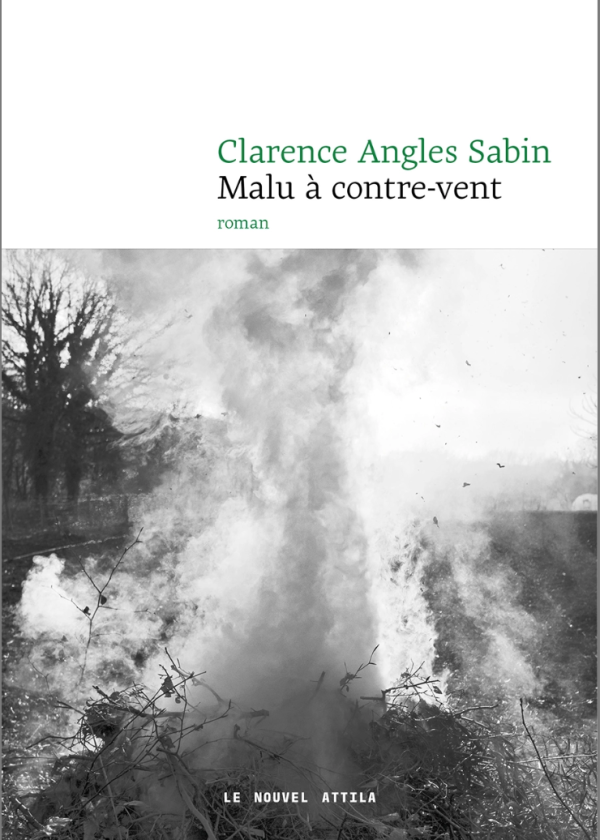 couverture du livre Malu à contrevent