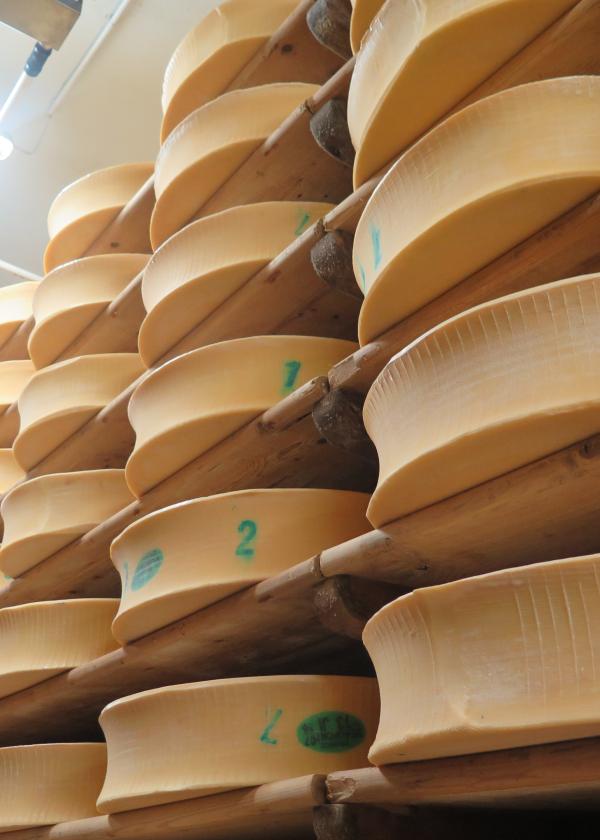 Fromage beaufort dans les caves de la coopérative de Beaufort