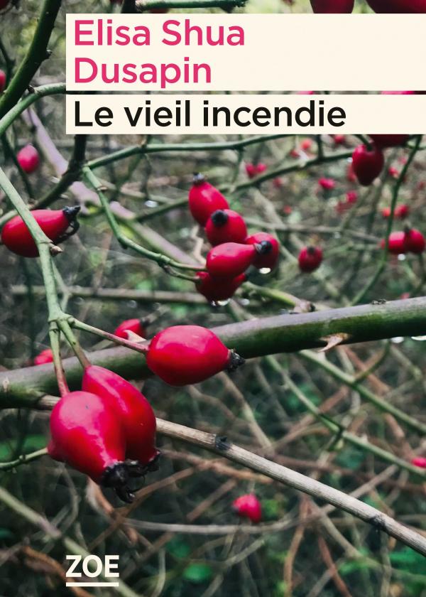 couverture du livre Le vieil incendie
